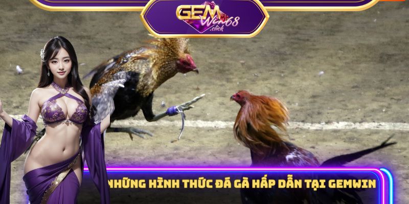 Những hình thức đá gà hấp dẫn tại Gemwin