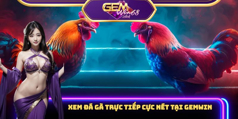 Xem đá gà trực tiếp