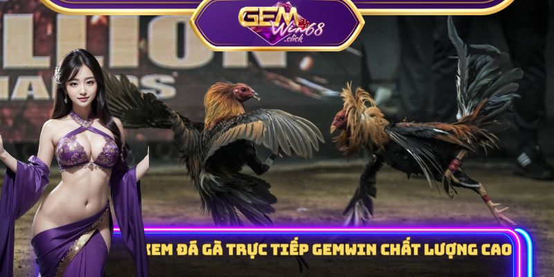Xem đá gà trực tiếp Gemwin chất lượng cao