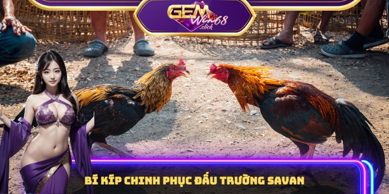 Hé Lộ 3 Tuyệt Kỹ Càn Quét Trường Gà Savan Không Ai Chỉ Bạn 3 Bỏ túi 3 tuyệt kỹ chinh phục đấu trường Savan