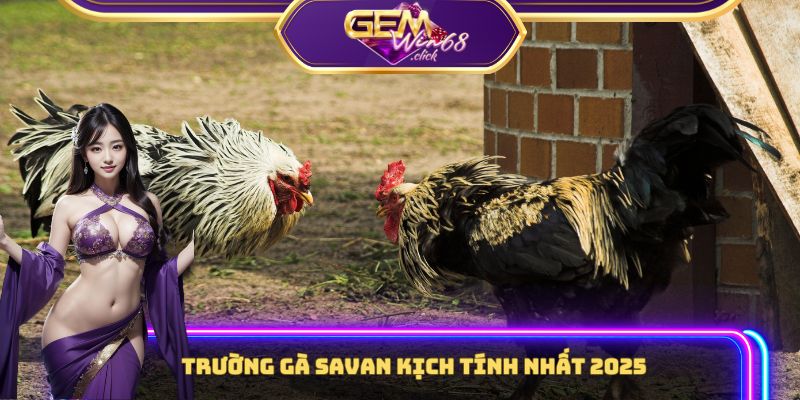 Hé Lộ 3 Tuyệt Kỹ Càn Quét Trường Gà Savan Không Ai Chỉ Bạn 1 Trường gà Savan - Đấu trường kịch tính nhất 2025